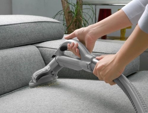 What are the major reasons to get your upholstery cleaned by the professionals??